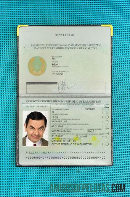 Passaporte do Cazaquistão (1991 2009) Visual fotográfico baixar para verificação